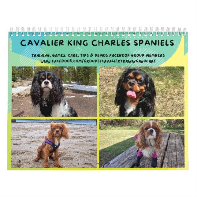 Cavalier King Charles Spaniel FB Calendrier du gro (Protection)