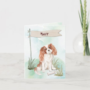 Cavalier King Charles Spaniel Félicitations