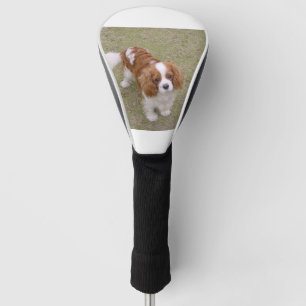 Cavalier-king-charles-spaniel full golf headcover
