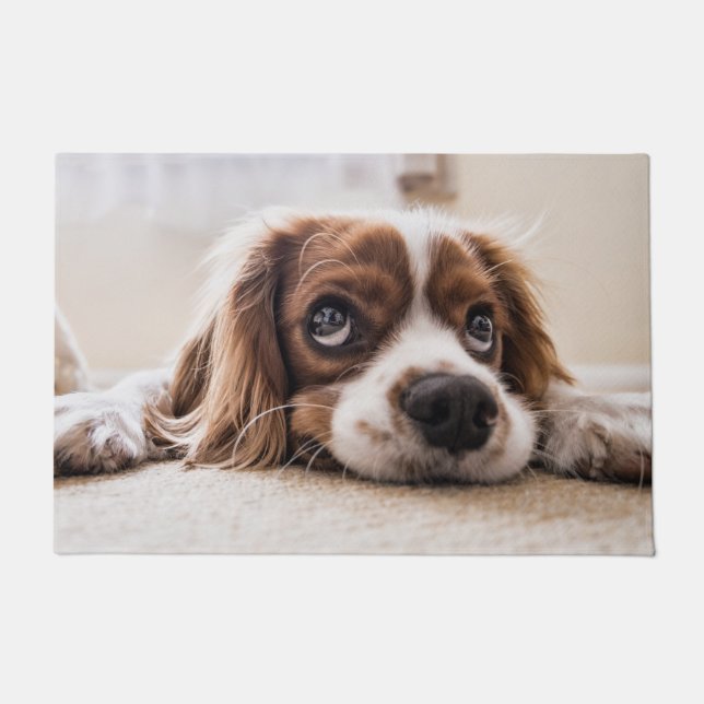 Cavalier king charles spaniel fußmatte (Vorderseite)