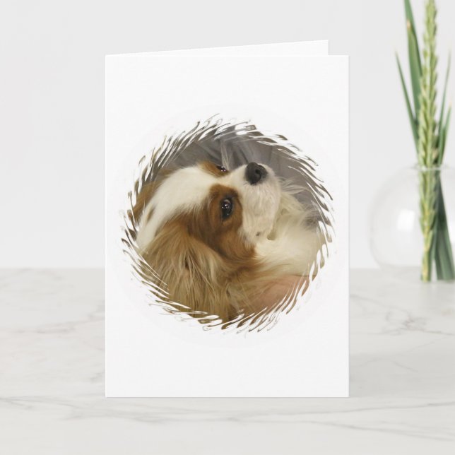 Cavalier King Charles Spaniel Grußkarte Karte (Vorderseite)