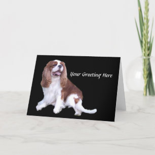 Cavalier King Charles Spaniel Grußkarte Karte