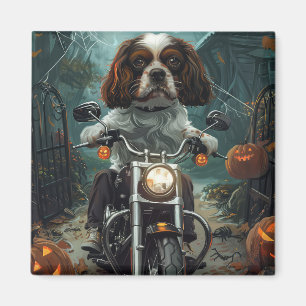 Cavalier King Charles Spaniel Halloween Gruselig Magnet