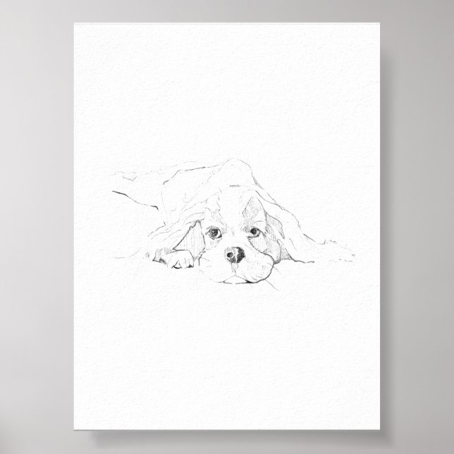 Cavalier King Charles Spaniel Haustier Poster (Vorne)