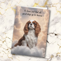 Cavalier King Charles Spaniel Heaven Beileid
