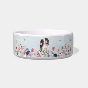 Cavalier King Charles Spaniel Hund mit Pfoten Napf