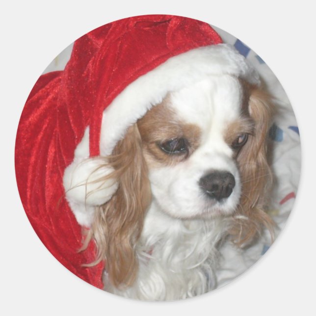 CAVALIER KING CHARLES SPANIEL HUND MIT WEIHNACHTSM RUNDER AUFKLEBER (Vorderseite)