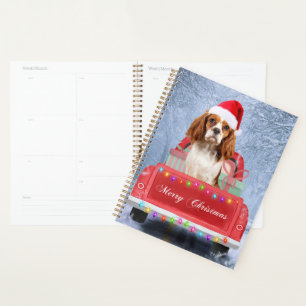 Cavalier King Charles Spaniel Hund Schnee Weihnach Planer