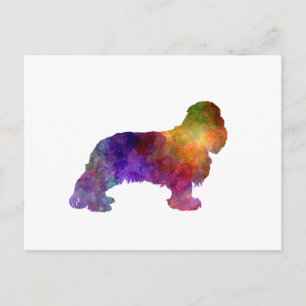 Cavalier King Charles Spaniel im Watercolor Postkarte
