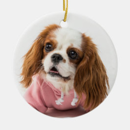 Cavalier King Charles Spaniel in Pink Jacket Keramik Ornament