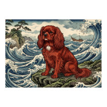 Cavalier King Charles Spaniel Japanische Welle Pos