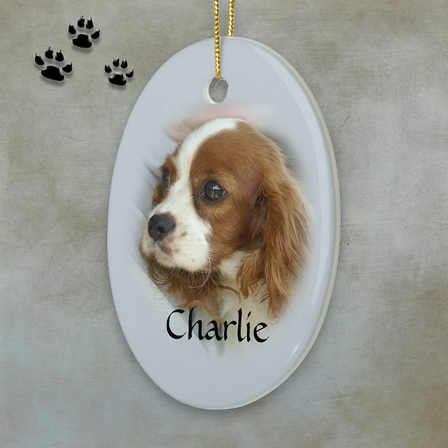 Cavalier King Charles Spaniel Keramikornament (Von Creator hochgeladen)