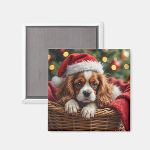 Cavalier King Charles Spaniel Kuschelkorb Magnet