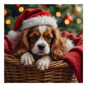 Cavalier King Charles Spaniel Kuschelkorb Poster