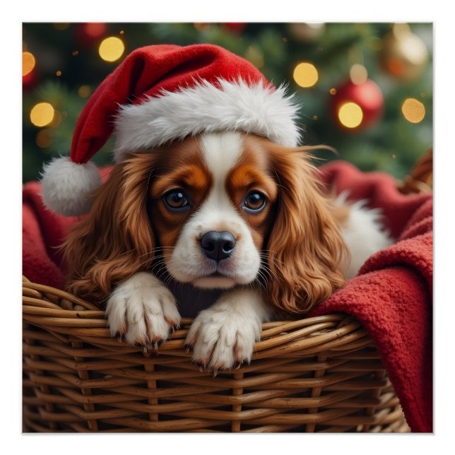 Cavalier King Charles Spaniel Kuschelkorb Poster (Vorderseite)
