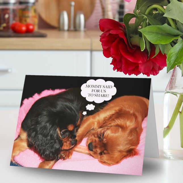 Cavalier King Charles Spaniel Lass uns teilen  Karte (Von Creator hochgeladen)