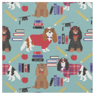 Cavalier King Charles Spaniel Lehrschule Stoff