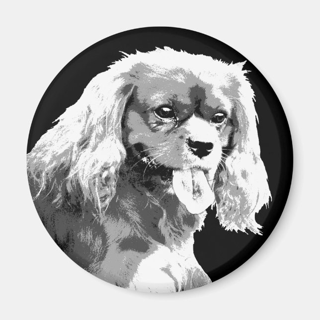 Cavalier king charles spaniel magnet (Vorne)