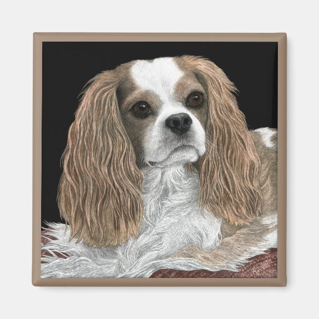 Cavalier King Charles Spaniel Magnet - "Bella" (Vorne)