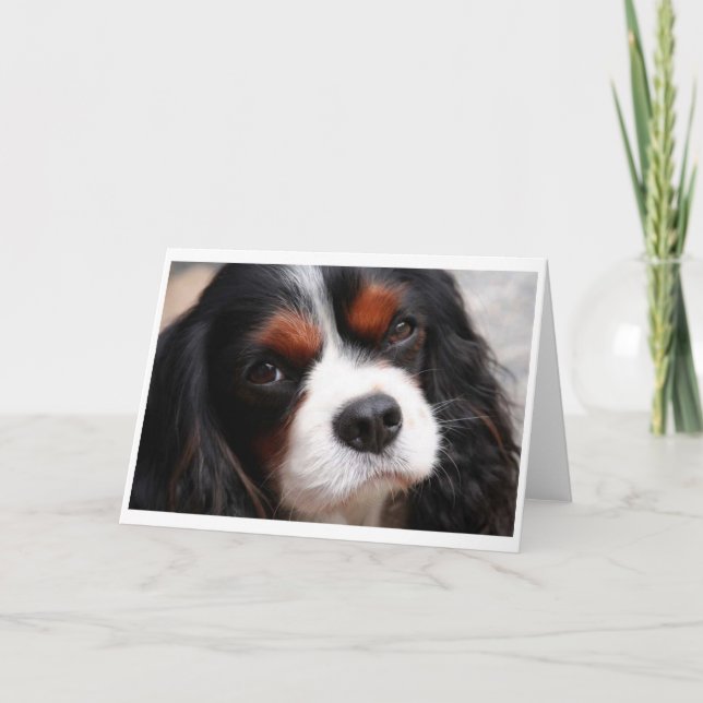 Cavalier King Charles Spaniel Mama Karte (Vorderseite)