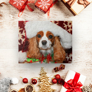 Cavalier King Charles Spaniel mit Weihnachtsmannmü