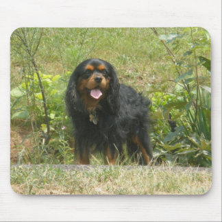 Cavalier King Charles Spaniel Mousepad