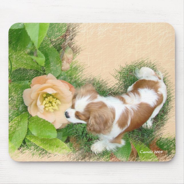 Cavalier King Charles Spaniel Mousepad (Vorne)