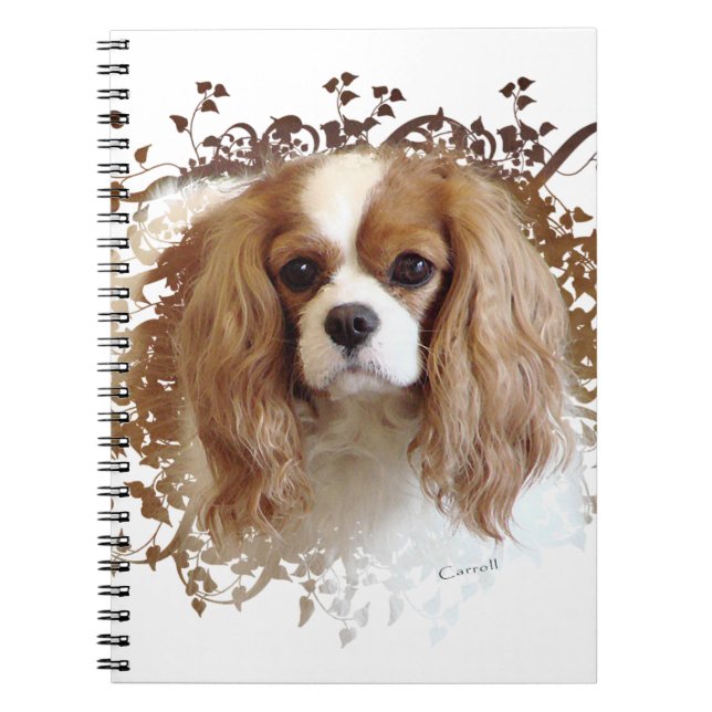 Cavalier King Charles Spaniel Notizblock (Vorderseite)