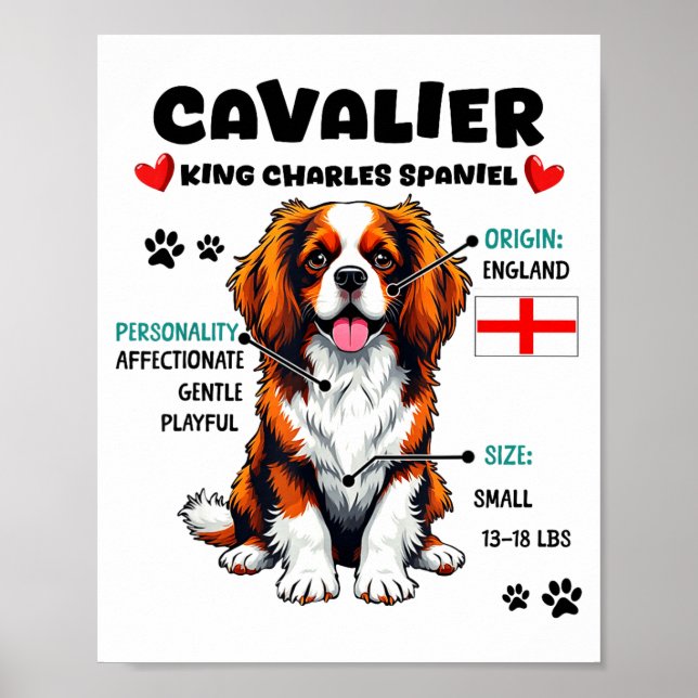 Cavalier King Charles Spaniel Owner Funny Dog Love Poster (Vorne)