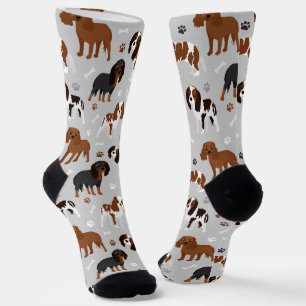 Cavalier King Charles Spaniel Paws and Bones Socken