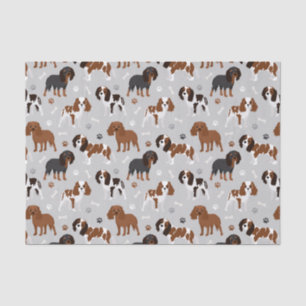 Cavalier King Charles Spaniel Paws and Bones Tissu Seidenpapier
