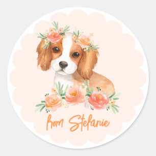 Cavalier King Charles Spaniel Peach Birthday Runder Aufkleber