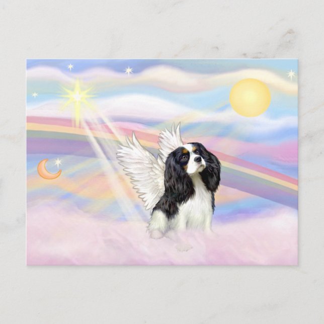 Cavalier King Charles Spaniel Postkarte (Vorderseite)