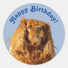 Cavalier King Charles Spaniel Puppy Dog Blue Party Runder Aufkleber