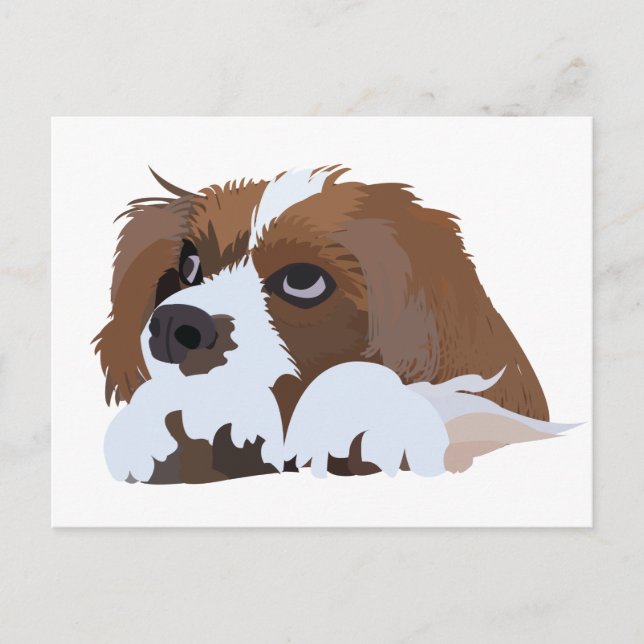 Cavalier King Charles Spaniel Puppy Postkarte (Vorderseite)