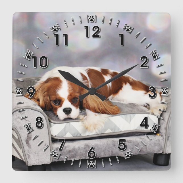 Cavalier King Charles Spaniel - Remington Quadratische Wanduhr (Vorderseite)