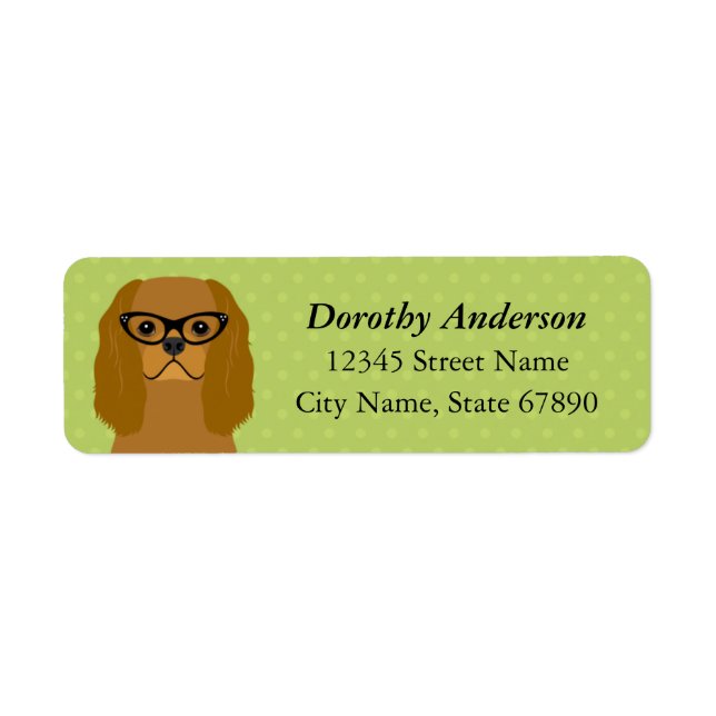 Cavalier King Charles Spaniel Rücksendeadresse (Vorne)