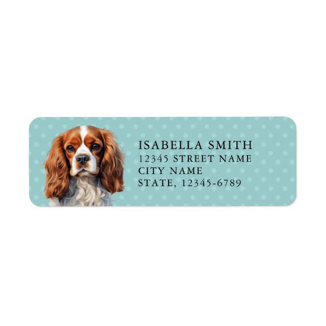 Cavalier King Charles Spaniel Rücksendeadresse Eti (Vorne)