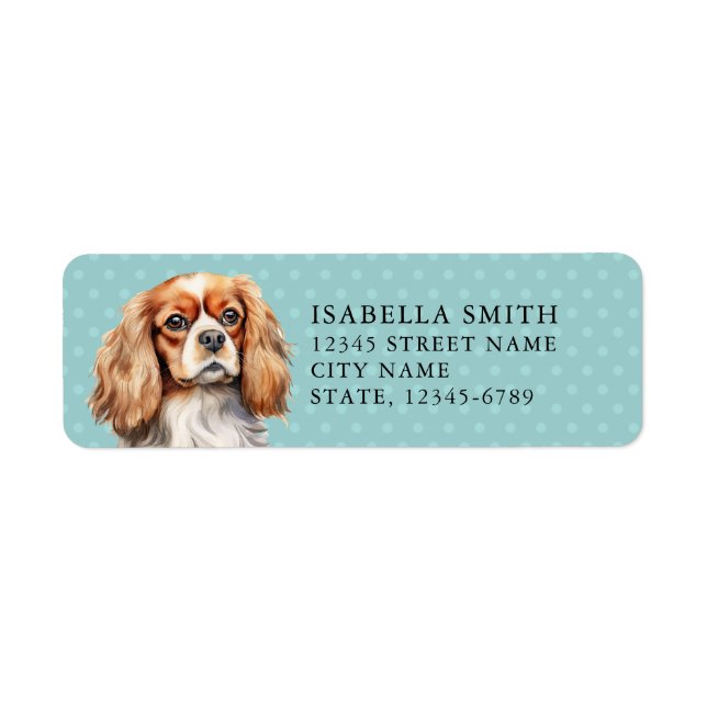 Cavalier King Charles Spaniel Rücksendeadresse Eti (Vorne)
