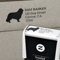 Cavalier King Charles Spaniel Rücksendeadresse