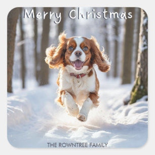 Cavalier King Charles Spaniel Schnee Frohe Weihnac Quadratischer Aufkleber