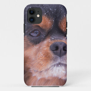 Cavalier King Charles Spaniel Schneeflocke Case-Mate iPhone Hülle