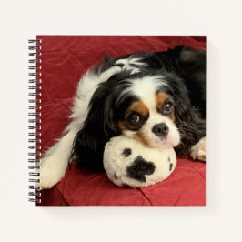 Cavalier King Charles Spaniel Small Notebook Notizbuch