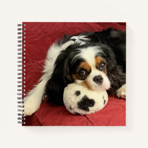 Cavalier King Charles Spaniel Small Notebook Notizbuch
