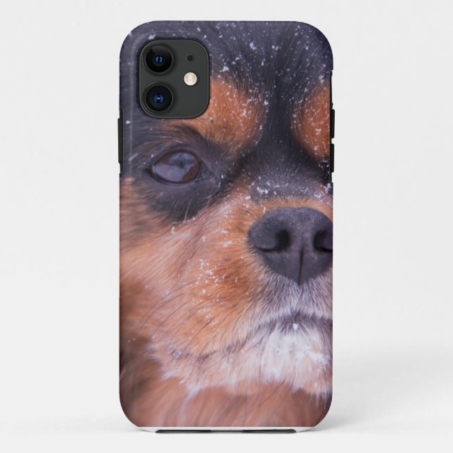 Cavalier King Charles Spaniel Snowflake Case-Mate iPhone Hülle (Rückseite)