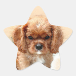 Cavalier King Charles Spaniel Stern-Aufkleber