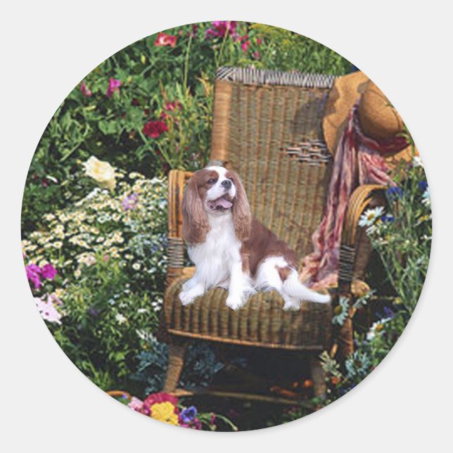 Cavalier King Charles Spaniel Sticker (Vorderseite)