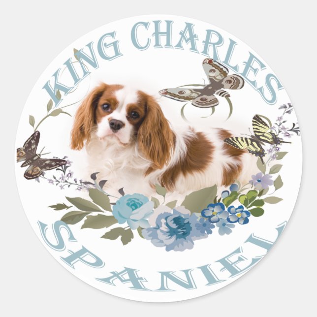 Cavalier King Charles Spaniel Stickers (Vorderseite)