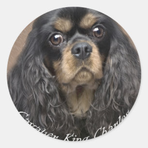 Cavalier King Charles Spaniel Stickers