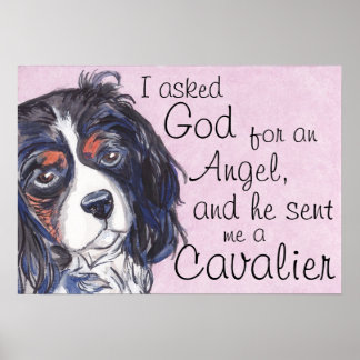 cavalier king charles spaniel tricolor art poster